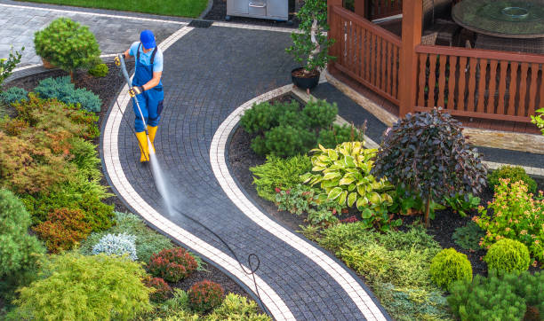 Best Best Pressure Washing Companies  in Bethel Manor, VA